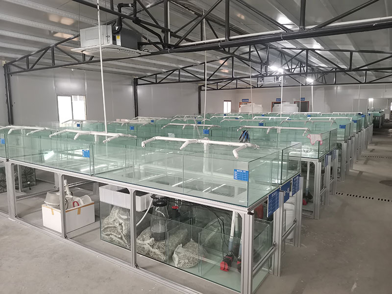 南海海水鱼隔离场